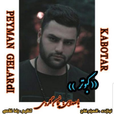 پیمان گلردی کبوتر